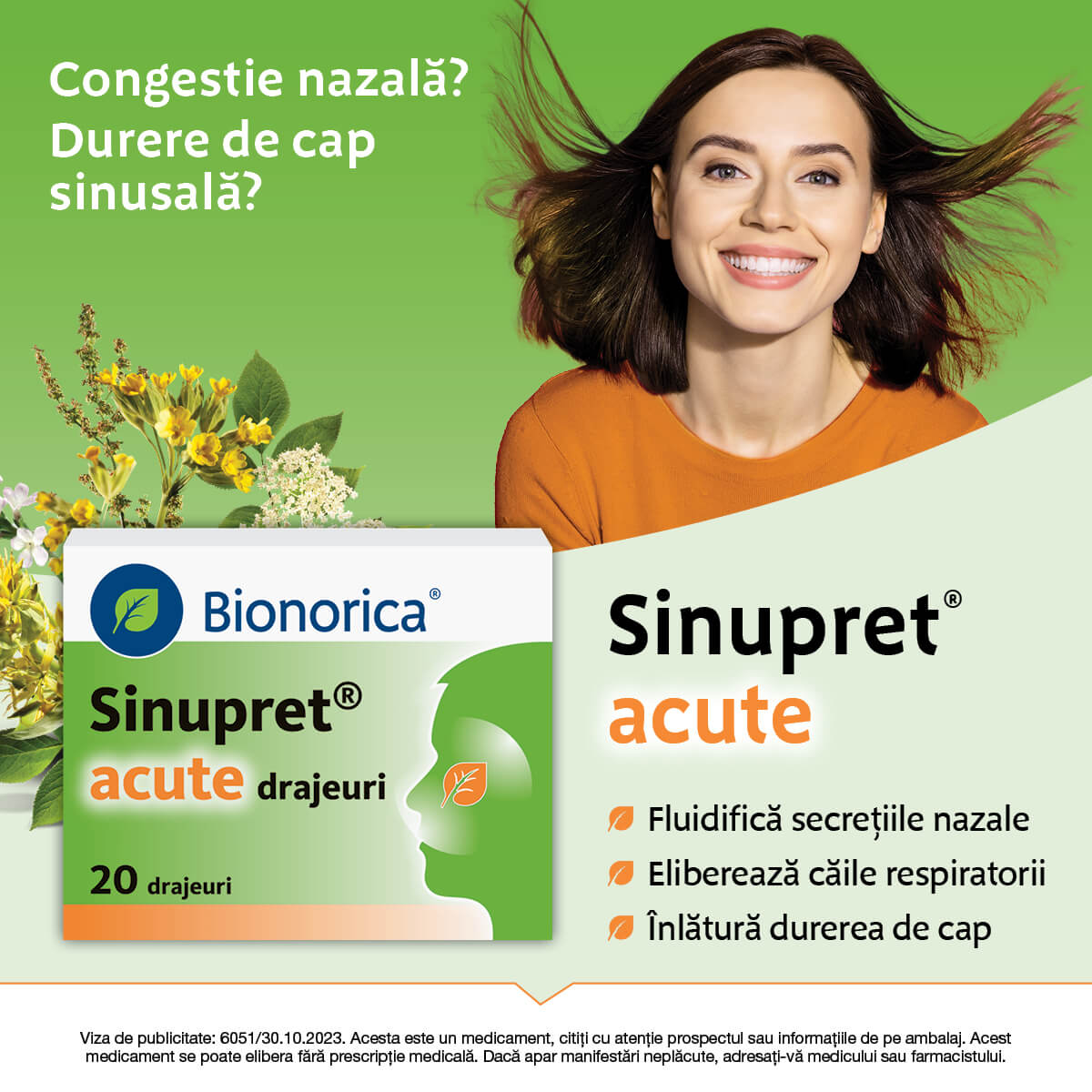 Campanie Sinupret